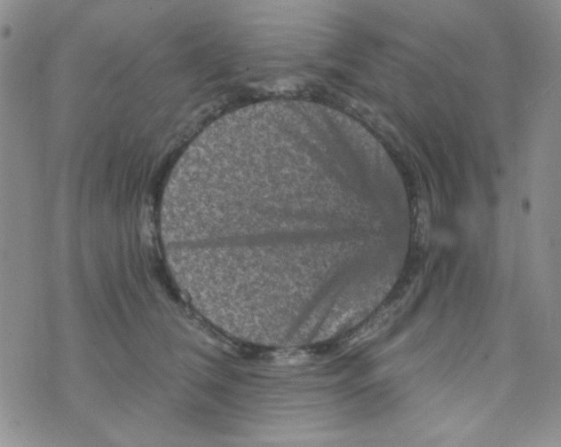 X0000073750612200608311937