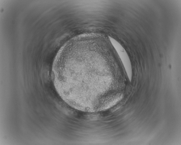 X0000073750615200608311937