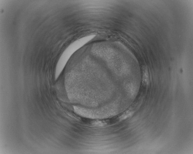 X0000073750616200608311937