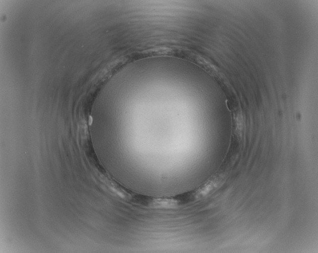 X0000073750617200608311937