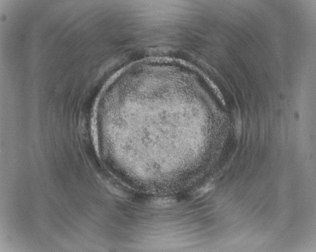 X0000073750619200608311937