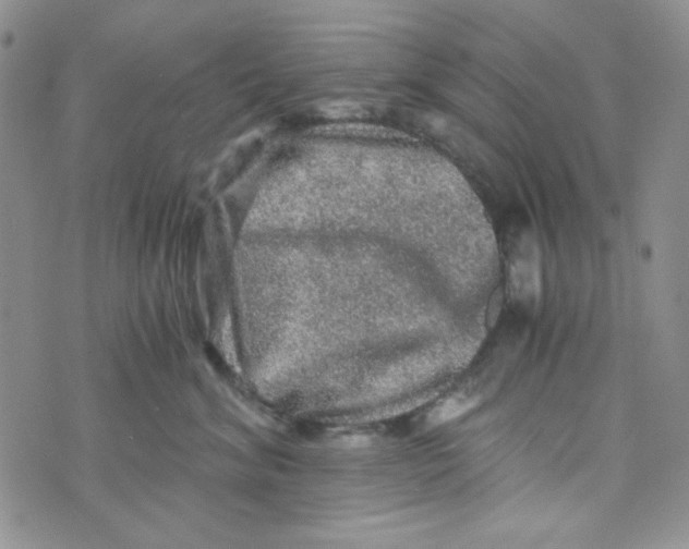 X0000073750620200608311937