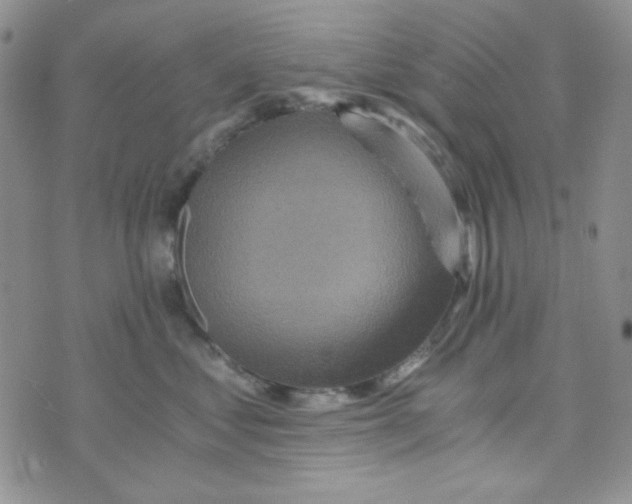 X0000073750621200608311937