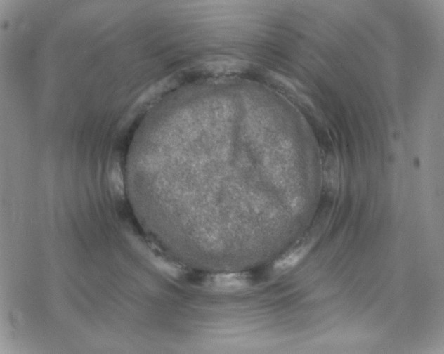 X0000073750622200608311937