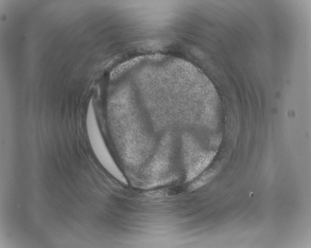 X0000073750624200608311937