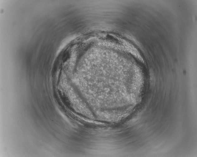 X0000073750626200608311936