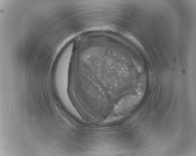 X0000073750628200608311936