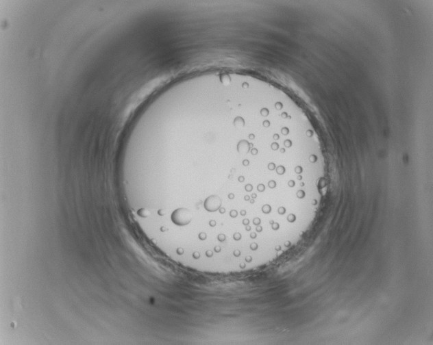 X0000073750629200608311936