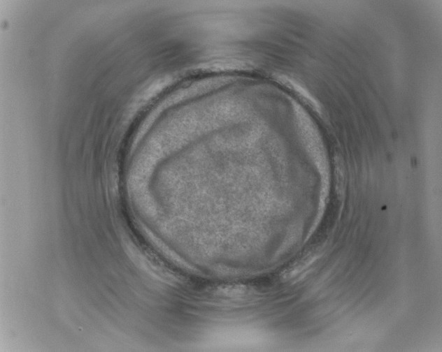 X0000073750631200608311936