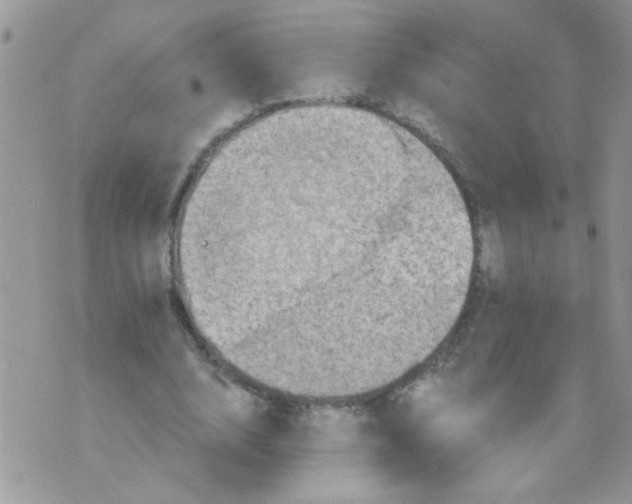 X0000073750632200608311936