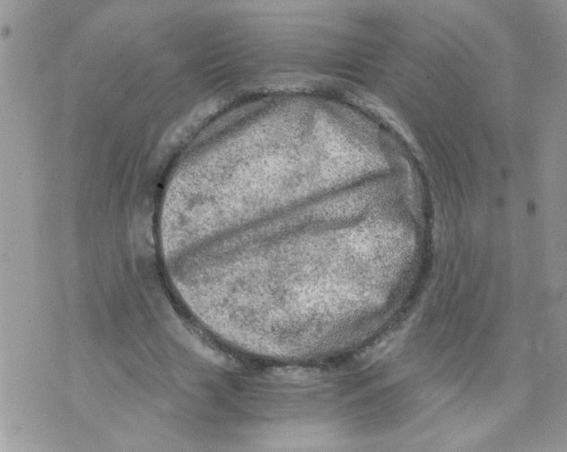 X0000073750633200608311936