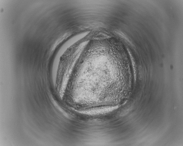 X0000073750634200608311936