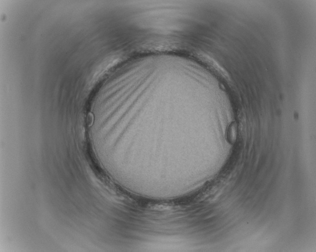 X0000073750635200608311936