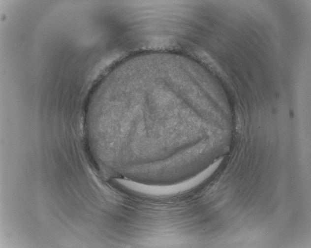 X0000073750636200608311936