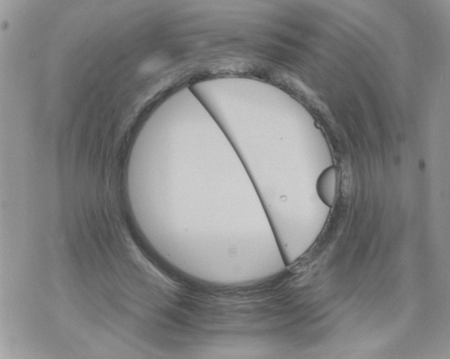 X0000073750637200608311936