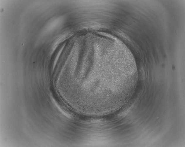 X0000073750638200608311936