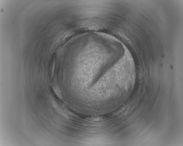 X0000073750639200608311936