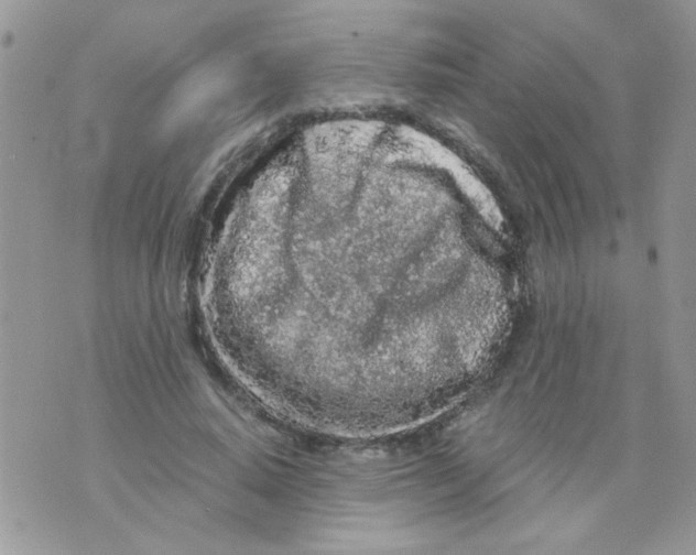 X0000073750640200608311936