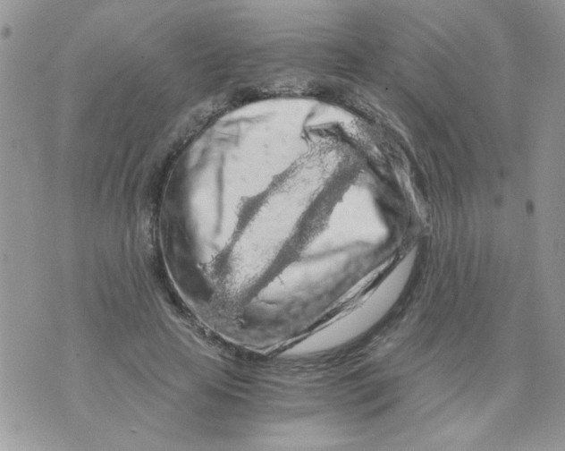 X0000073750641200608311936