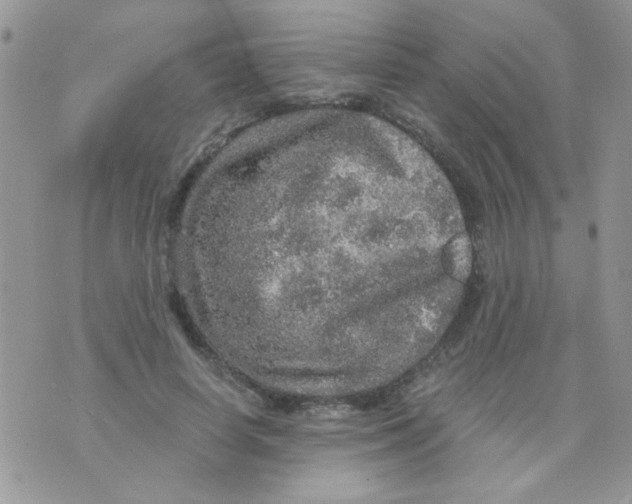 X0000073750642200608311936