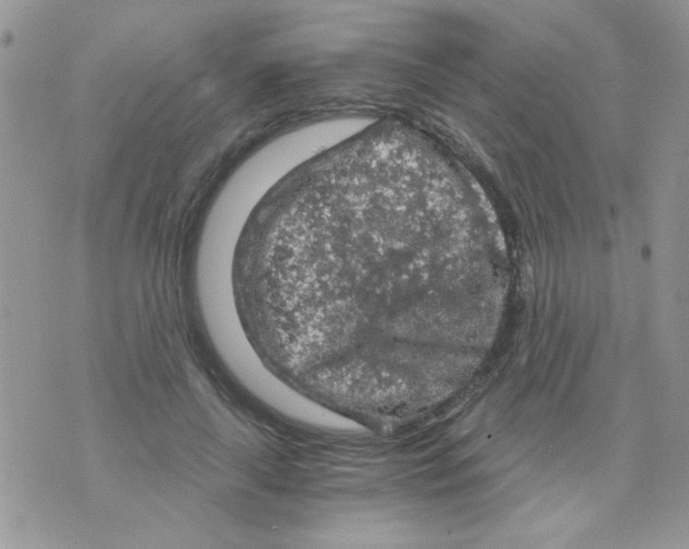 X0000073750643200608311936