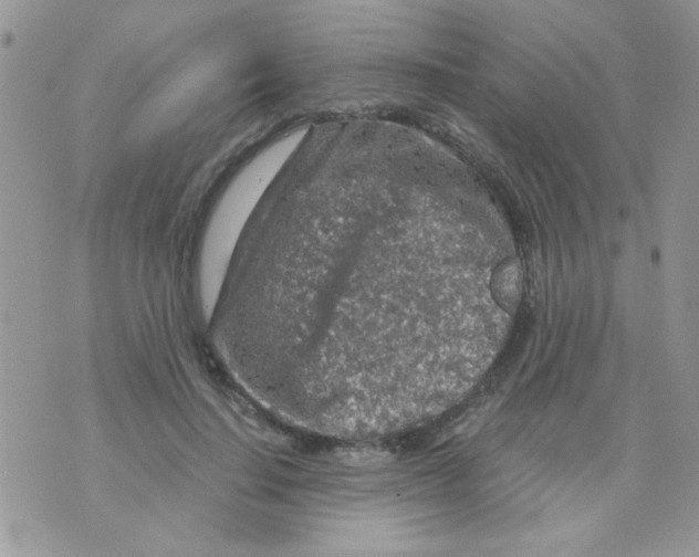 X0000073750644200608311936