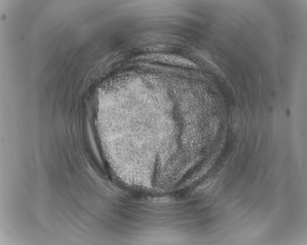 X0000073750645200608311936