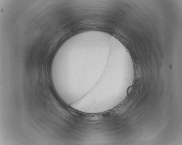 X0000073750646200608311936