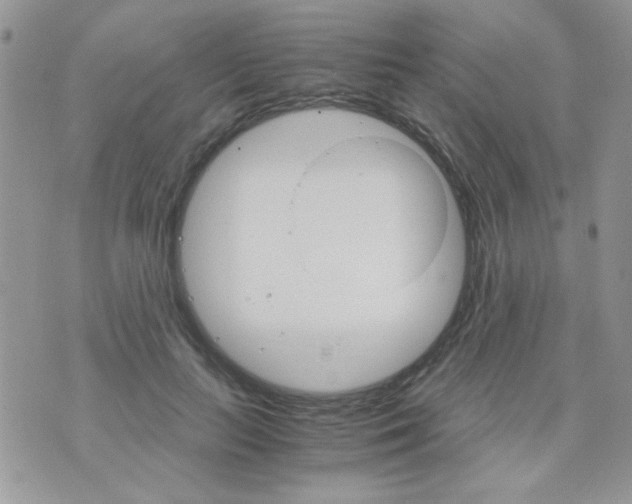 X0000073750647200608311936