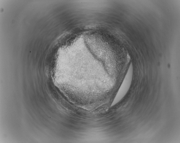 X0000073750648200608311936