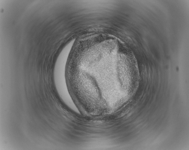 X0000073750649200608311936