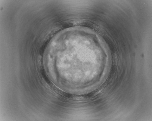 X0000073750650200608311936