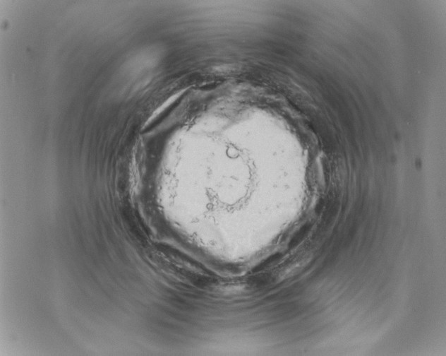 X0000073750651200608311936