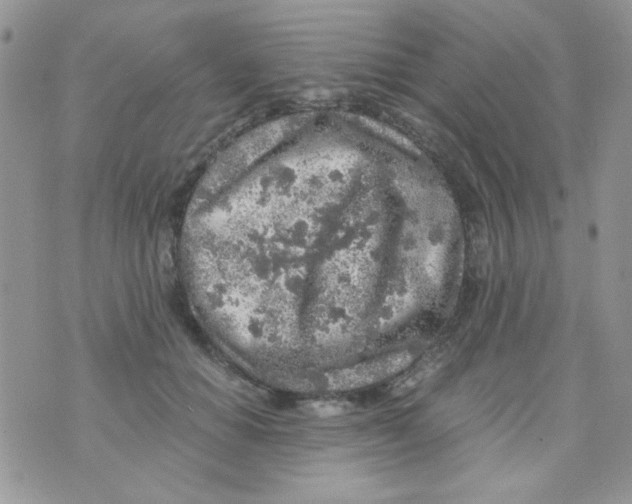 X0000073750654200608311936