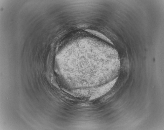 X0000073750655200608311936