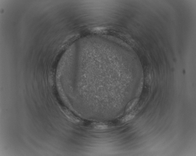 X0000073750658200608311936