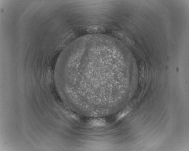 X0000073750659200608311936