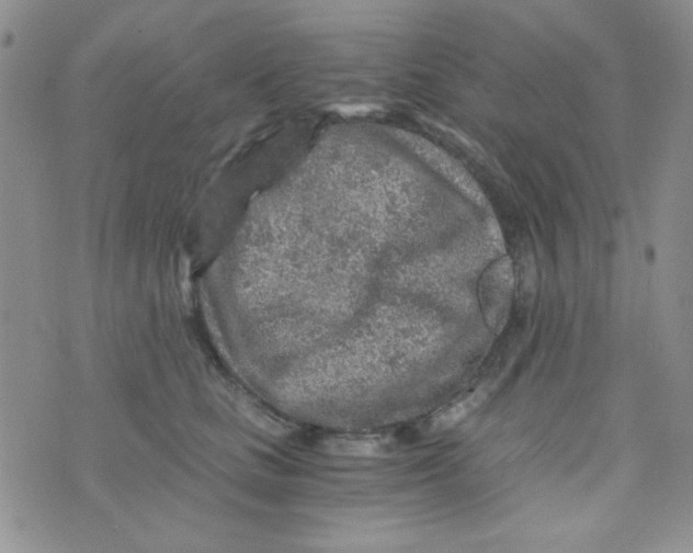 X0000073750661200608311936