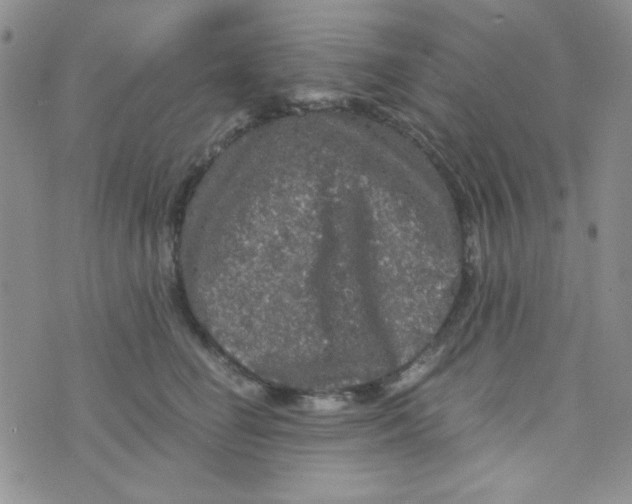 X0000073750662200608311936