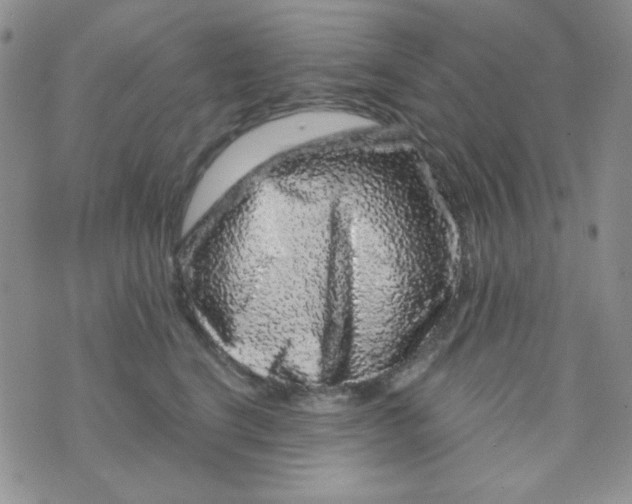 X0000073750664200608311936