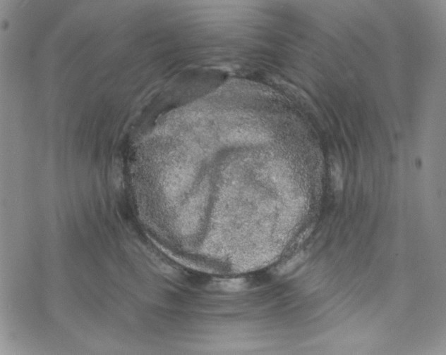 X0000073750665200608311936