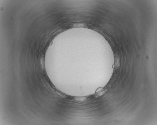 X0000073750666200608311936