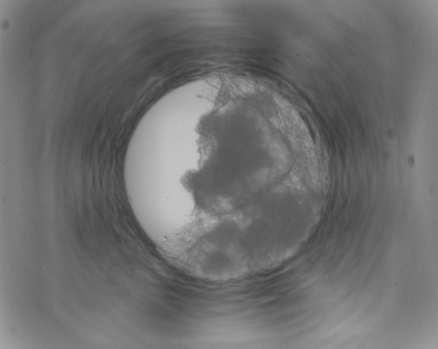 X0000073750667200608311936