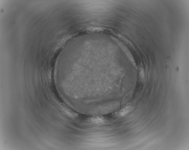 X0000073750668200608311936