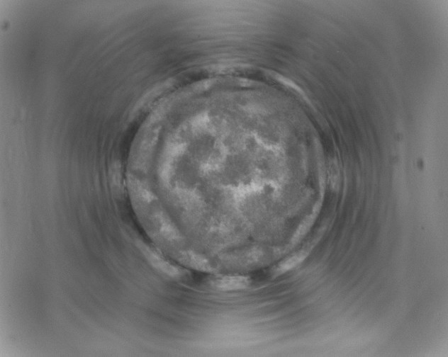 X0000073750670200608311936