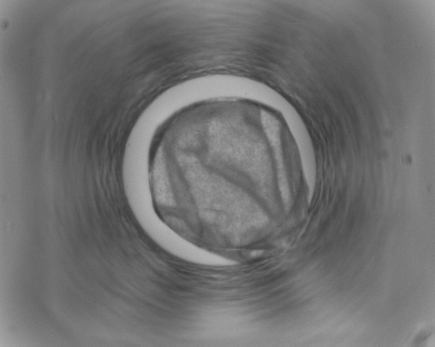 X0000073750671200608311936