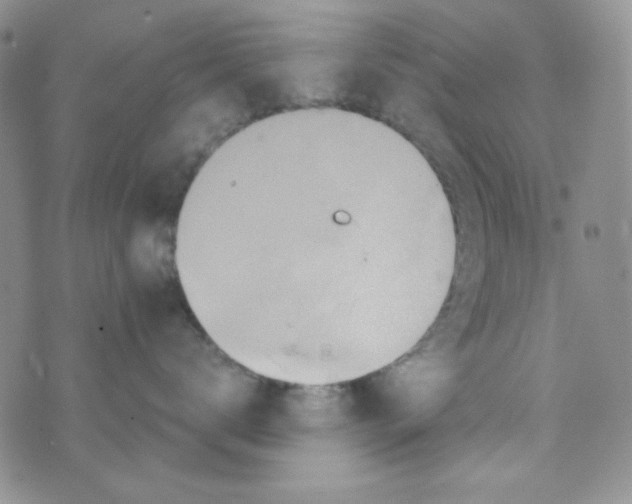 X0000073750672200608311937