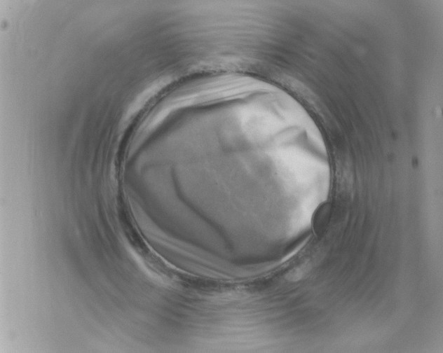 X0000073750674200608311936