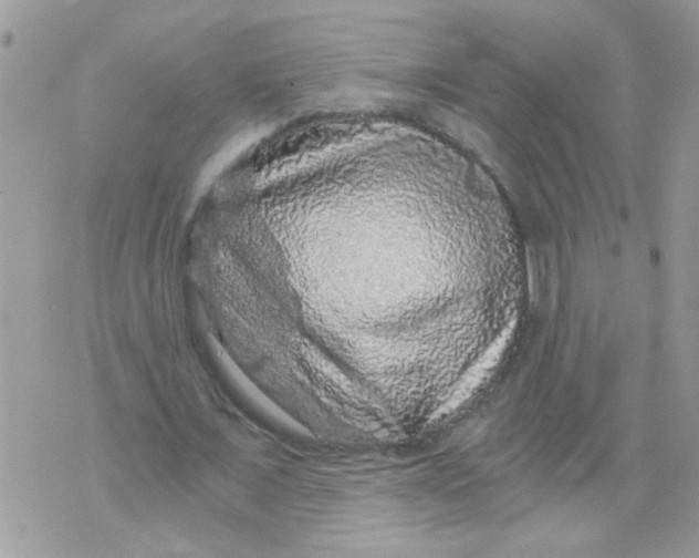 X0000073750675200608311936