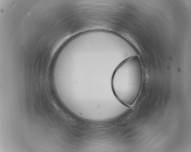 X0000073750676200608311936